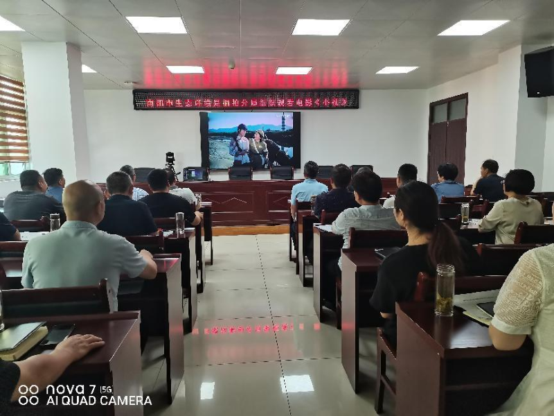 南阳市生态环境局桐柏分局组织观看红色经典电影《小花》